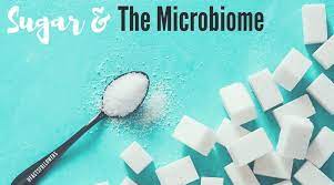 Fake sugars, though calorie-free, disrupt the delicate balance of the gut microbiome, leading to unforeseen consequences on metabolic health.