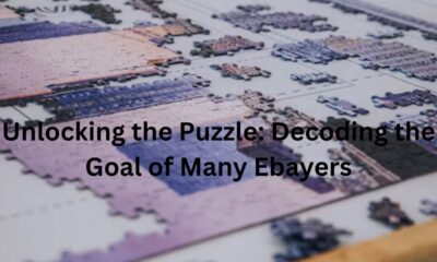 Unlocking the Puzzle: Decoding the Goal of Many Ebayers