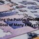 Unlocking the Puzzle: Decoding the Goal of Many Ebayers