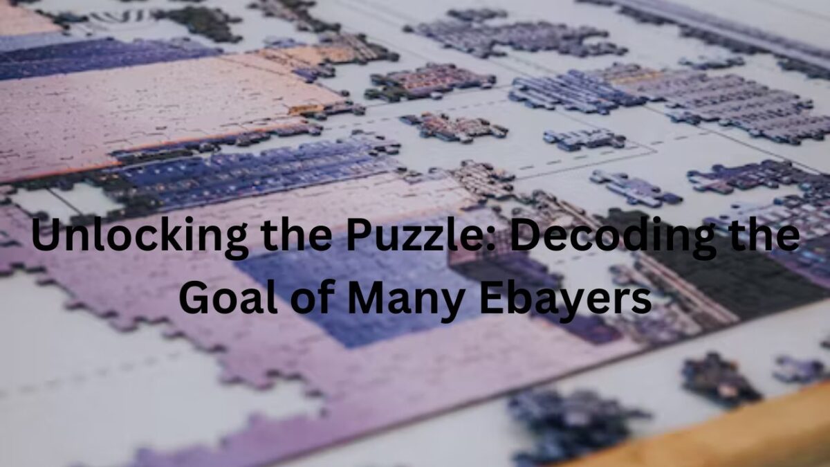 Unlocking the Puzzle: Decoding the Goal of Many Ebayers