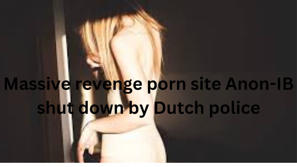 Massive revenge porn site Anon-IB shut down by Dutch police