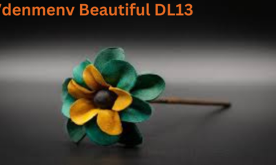 Vdenmenv Beautiful DL13